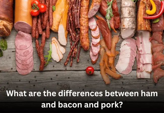 What are the differences between ham and bacon and pork